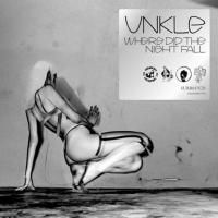 UNKLE - Where Did The Night Fall (2010) - 2 CD Limited Edition