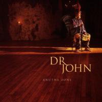 Dr. John - Anutha Zone (1998)