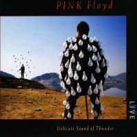 Pink Floyd - Delicate Sound Of Thunder (1988) - 2 CD Box Set