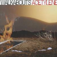 The Walkabouts - Acetylene (2005)