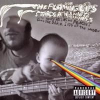 The Flaming Lips And Star Death, White Dwarfs, Henry Rollins And Peaches - The Dark Side Of The Moon (2010)