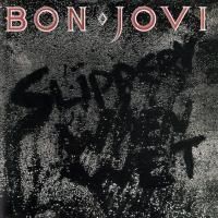 Bon Jovi - Slippery When Wet (1986) (180 Gram Audiophile Vinyl)