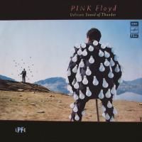 Pink Floyd - Delicate Sound Of Thunder (1988) (180 Gram Audiophile Vinyl) 2 LP